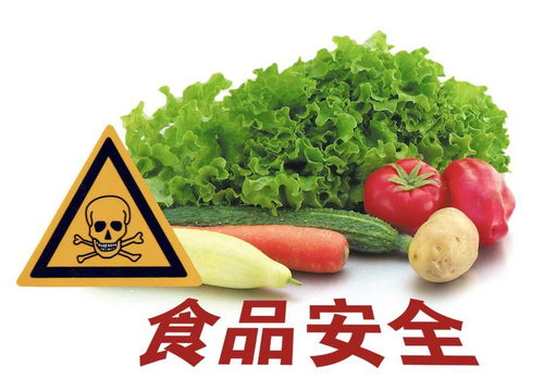莆田人注意！福建这20批次食品抽检不合格，你中招了吗？
